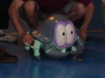 stef2033.JPG