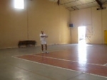 P1010067.MOV